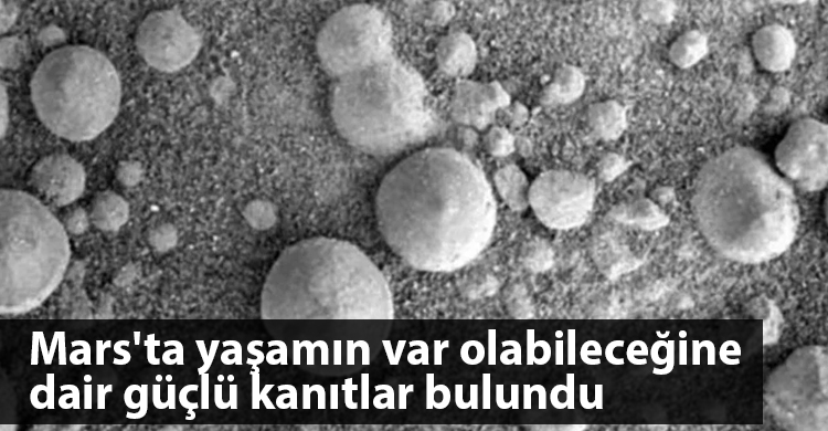 ozgur_gazete_kibris_mars