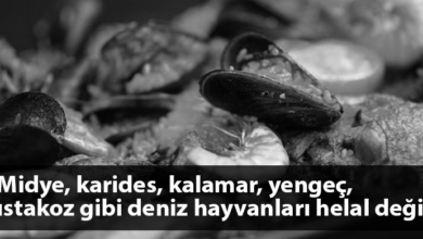 ozgur_gazete_kibris_turkiye_diyanet_aciklama