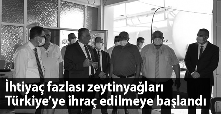 ozgur_gazete_kibris_zeytinyagi