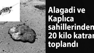 ozgur_gazete_kibris_alagadi_kaplica_sahilleri_katran_toplandi