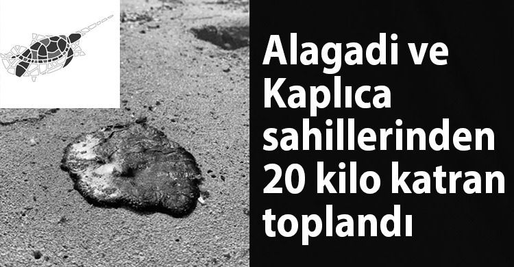 ozgur_gazete_kibris_alagadi_kaplica_sahilleri_katran_toplandi