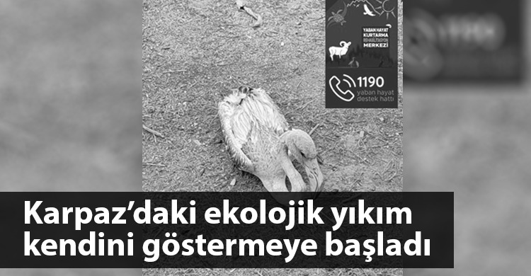 ozgur_gazete_kibris_ekolojik_yikim_karpaz