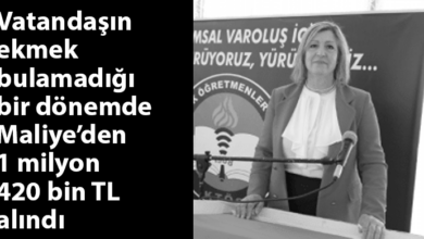 ozgur_gazete_kibris_emel_tel_new_york_tatar_ortulu_odenek