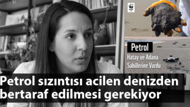 ozgur_gazete_kibris_feriha_tel_petrol_sizintisi_aciklama