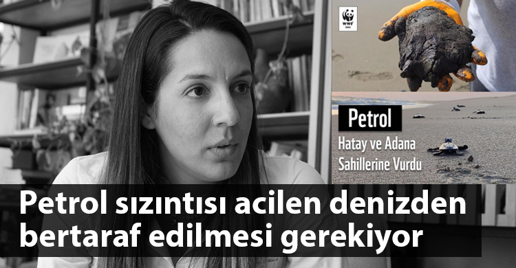 ozgur_gazete_kibris_feriha_tel_petrol_sizintisi_aciklama
