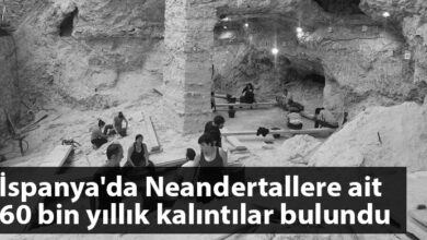 ozgur_gazete_kibris_neandertel_kalinti_ispanya