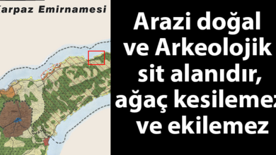 ozgur_gazete_kibris_sehir_plancilari_odasi_arazi_karpaz