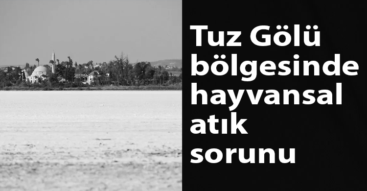 ozgur_gazete_kibris_tuz_golu_hayvansal_atik_sorunu