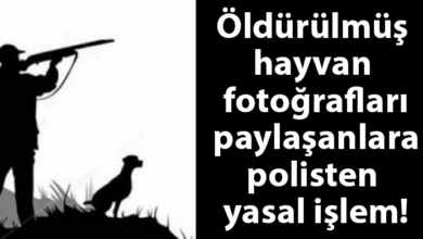 ozgur_gazete_kibris_buyuk_av_mevsimi_olu_hayvan_fotografi_