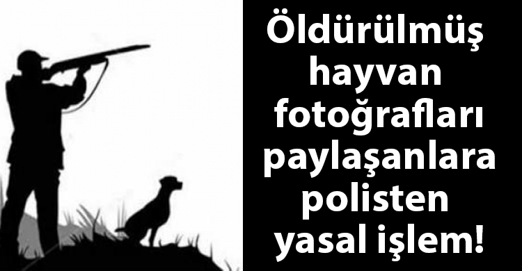 ozgur_gazete_kibris_buyuk_av_mevsimi_olu_hayvan_fotografi_