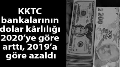 ozgur_gazete_kibris_dolar_tl