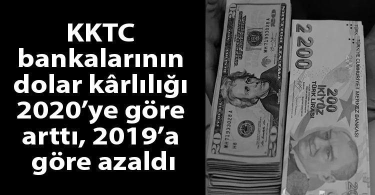 ozgur_gazete_kibris_dolar_tl