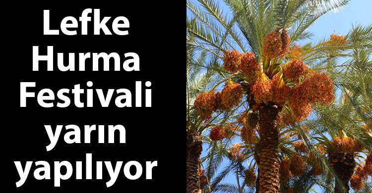ozgur_gazete_kibris_lefke_hurma_festivali