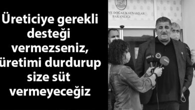 ozgur_gazete_kibris_naimogulları