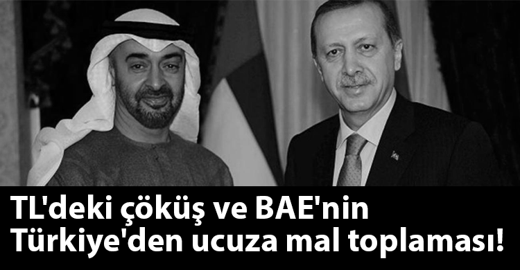 ozgur_gazete_kibris_turkiye_bae_doviz_yatirim