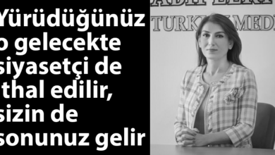 ozgur_gazete_kibris_ozlem_gurkut_un-ithalati