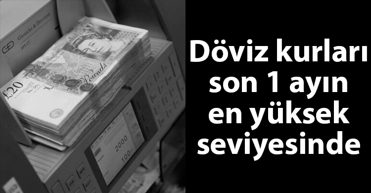 ozgur_gazete_dogus_döviz_rekor_yükseliş