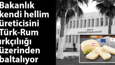 ozgur_gazete_kibris_dısisleri_bakanligi_hellim