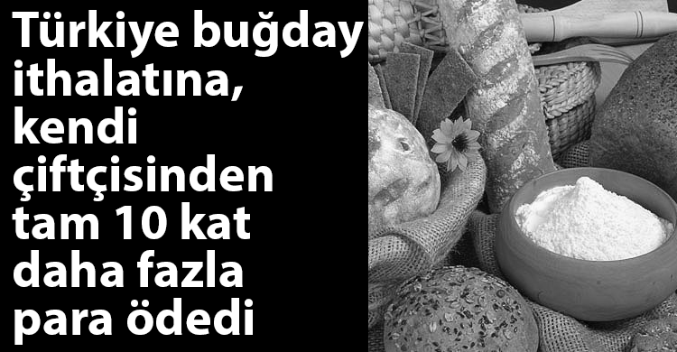 ozgur_gazete_kibris_bugday