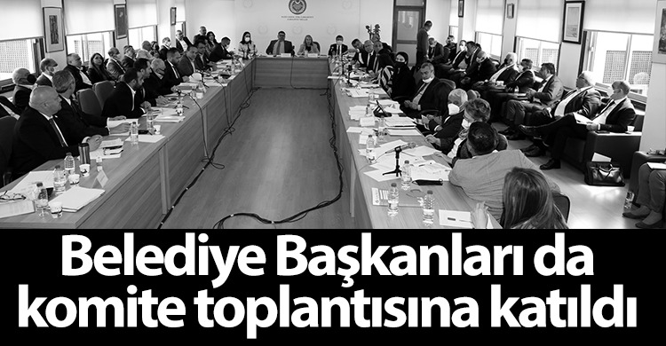 ozgur_gazete_kibris_belediyelerin_birlestirilmesi_komite_toplantisi_meclis