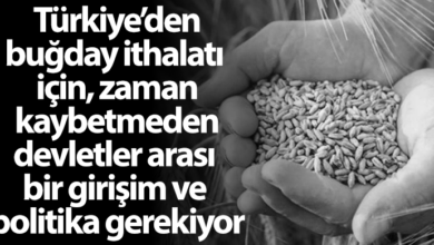 ozgur_gazete_kibris_bugday_ithalati_turkiye_arun_baspinar