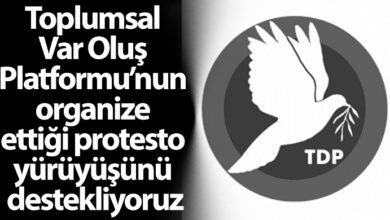 ozgur_gazete_kibris_mevlut_tdp_eylem_Destek