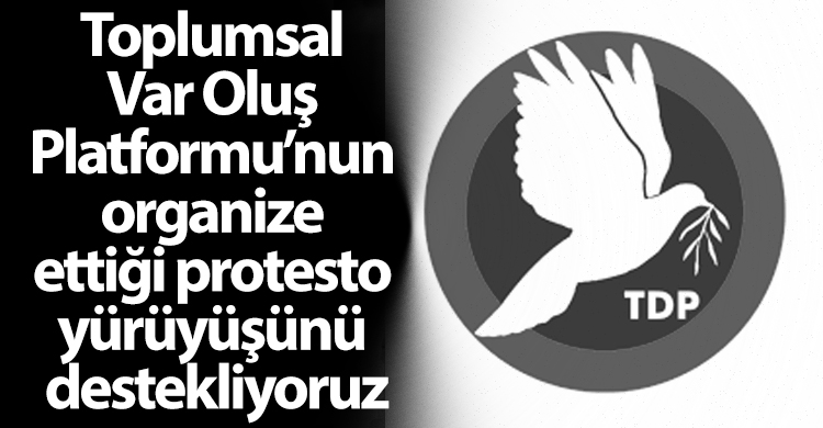 ozgur_gazete_kibris_mevlut_tdp_eylem_Destek