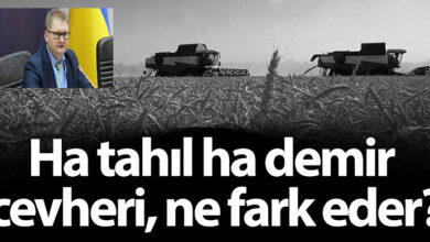 ozgur_gazete_kibris__tahıl_taraskacka11