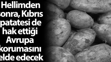 ozgur_gazete_kibris_kibris_patatesi_avrupa_korumasi_tescil