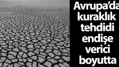 ozgur_gazete_kibris_kuraklık_avrupa