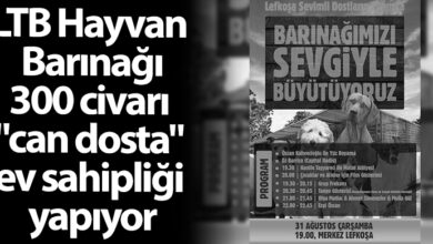 ozgur_gazete_kibris_ltb_hayvan_barinagi