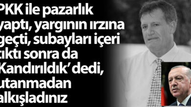 ozgur_gazete_kibris_erhan_arikli_erdogan_elestiri