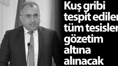 ozgur_gazete_kibris_kus_gribi_guney