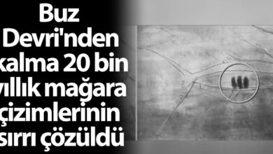 ozgur_gazete_kibris_buz_devrinden_kalma_magara_cizimleri