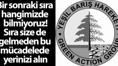 ozgur_gazete_kibris_yesil_baris_hareketi_ktmmob_eylem_destek2