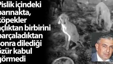 ozgur_gazete_kibris_akdogan_barinagi_ahmet_latif_ozur_diledi