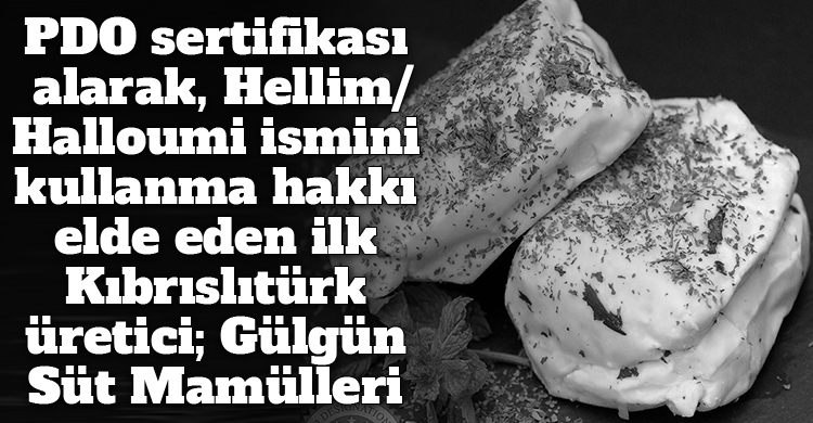 ozgur_gazete_kibris_gulgun_sut_pdo_sertifikasi_hellim