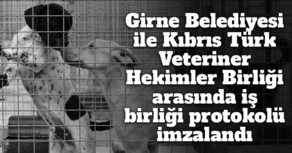 ozgur_gazete_kibris_girne_belediyesi_veteriner_hekimler_protokol