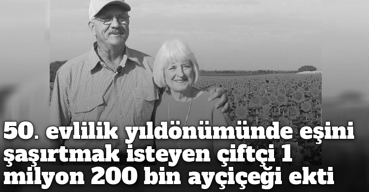 ozgur_gazete_kibris_50_evlilik_yildonumu_bir_milyon_aycicegi